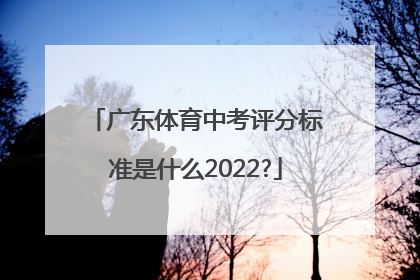 广东体育中考评分标准是什么2022?