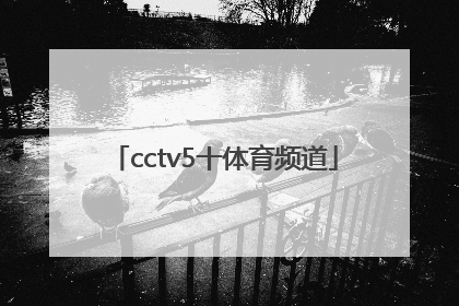 「cctv5十体育频道」CCTV5十体育频道星期曰节目表