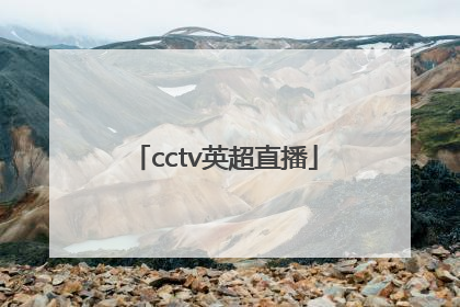 「cctv英超直播」cctv 5英超