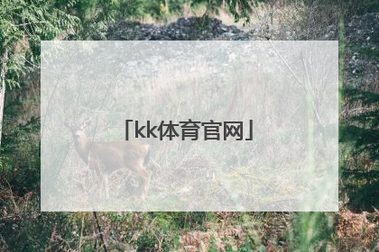 kk体育官网「kk体育官网下载」