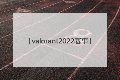 「valorant2022赛事」valorant2022冠军套多少钱